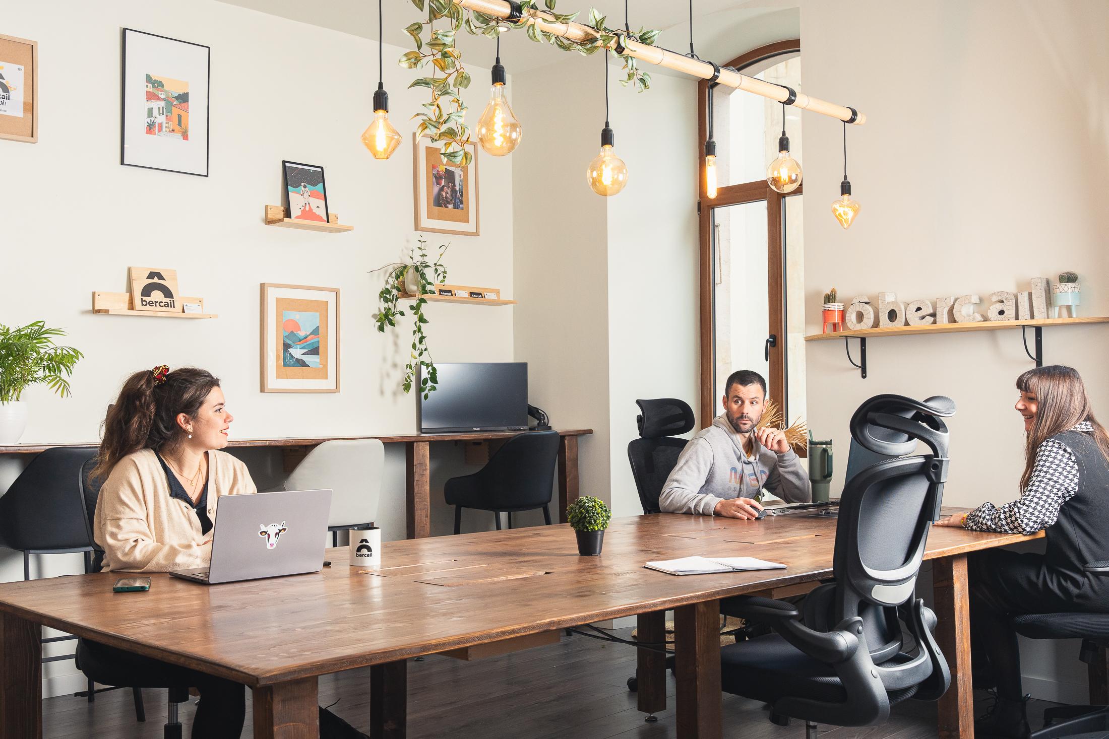 Open-plan workspace with 9 ergonomic workstations at Ô Bercail, Évian-les-Bains