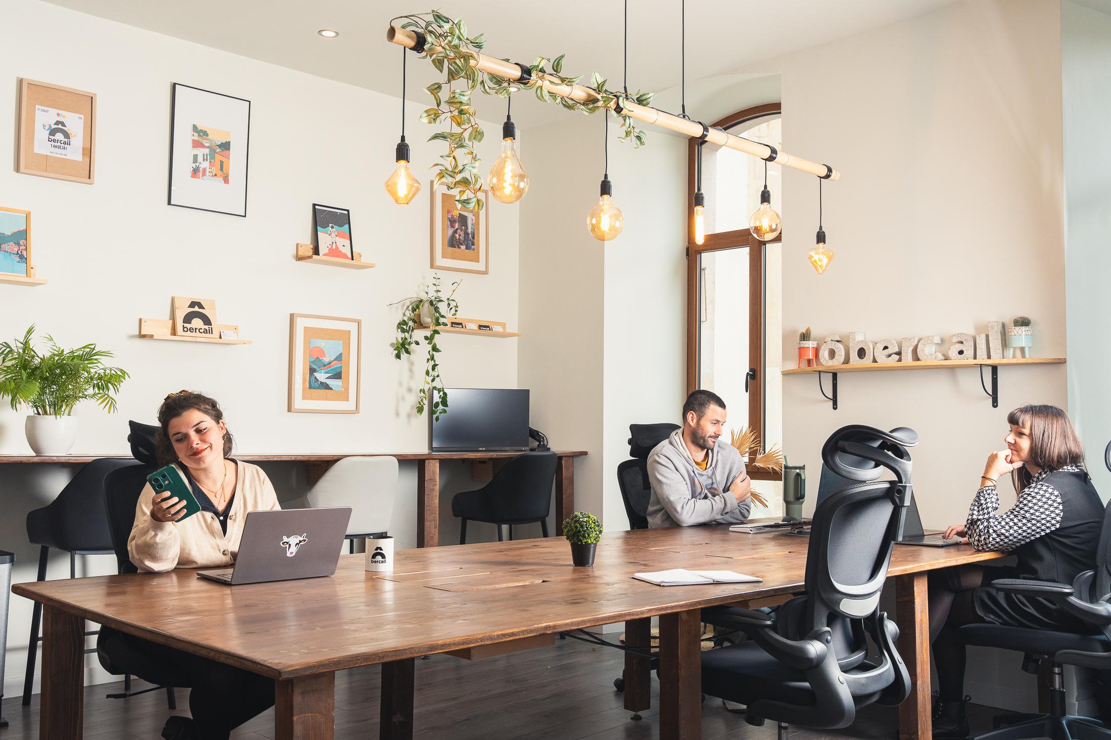 Professional meeting room with HDMI screen at Ô Bercail coworking space